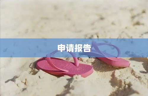 申请报告