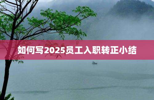 如何写2025员工入职转正小结
