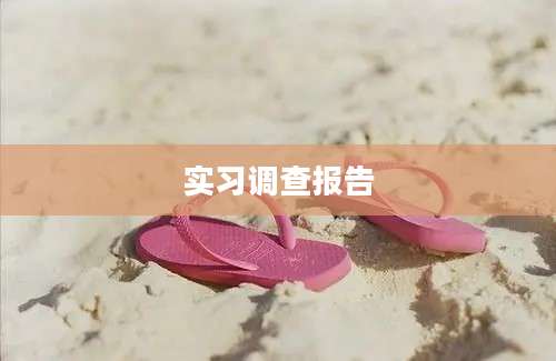 实习调查报告