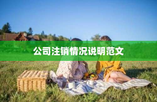 公司注销情况说明范文