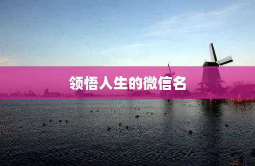 领悟人生的微信名