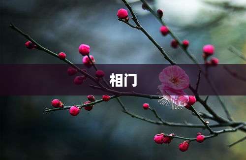 相门