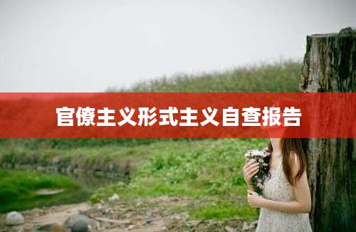 官僚主义形式主义自查报告