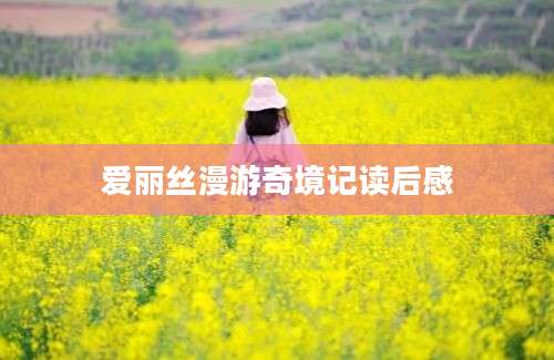 爱丽丝漫游奇境记读后感