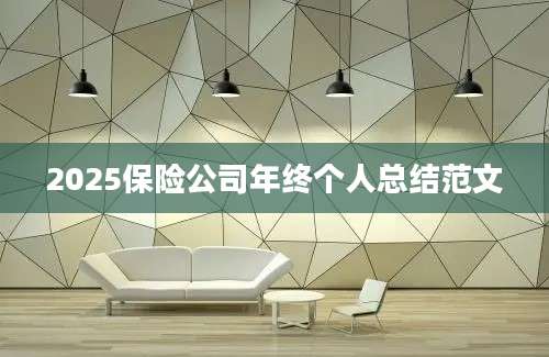 2025保险公司年终个人总结范文