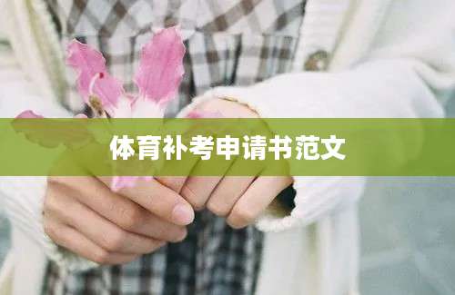 体育补考申请书范文