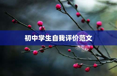 初中学生自我评价范文