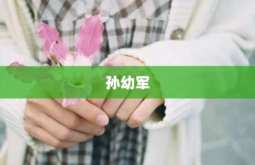 孙幼军
