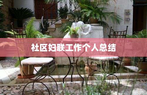社区妇联工作个人总结