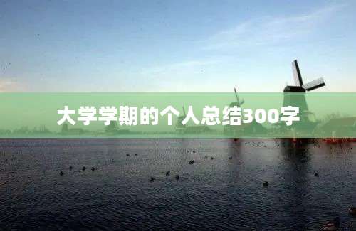 大学学期的个人总结300字