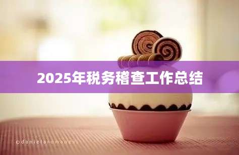 2025年税务稽查工作总结