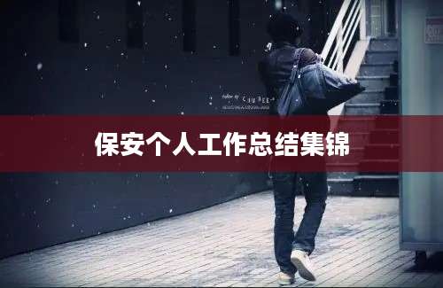 保安个人工作总结集锦