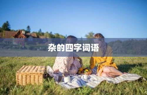 杂的四字词语
