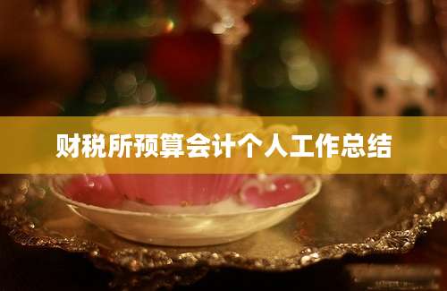 财税所预算会计个人工作总结