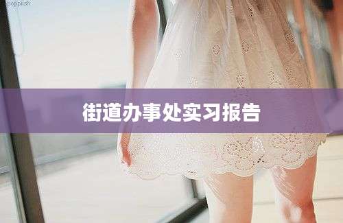 街道办事处实习报告