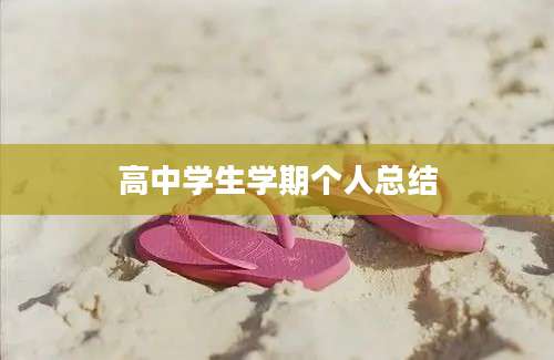 高中学生学期个人总结