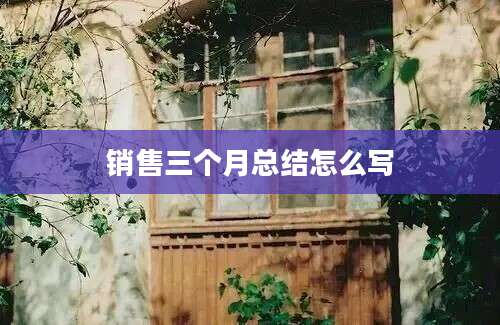 销售三个月总结怎么写