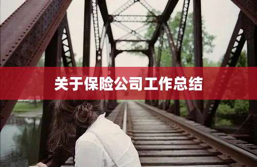 关于保险公司工作总结