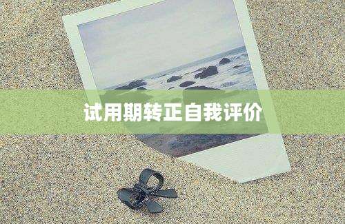 试用期转正自我评价