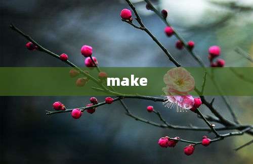 make