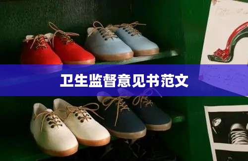 卫生监督意见书范文