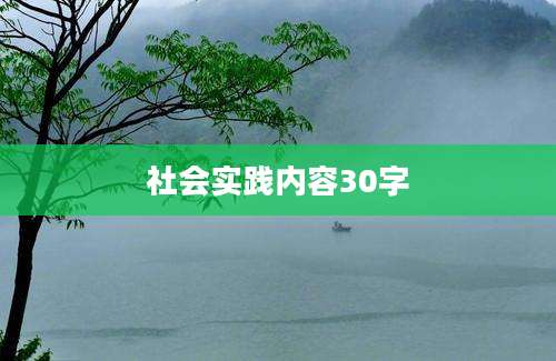 社会实践内容30字