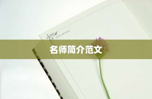 名师简介范文
