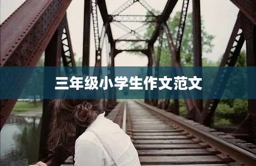 三年级小学生作文范文