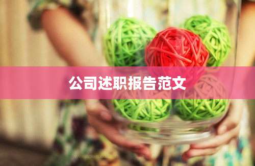 公司述职报告范文