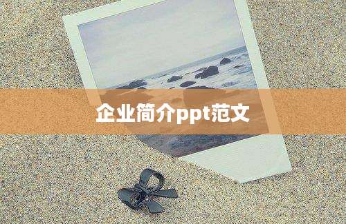 企业简介ppt范文