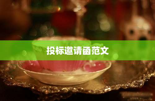 投标邀请函范文