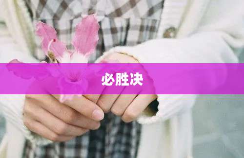 必胜决