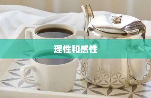 理性和感性