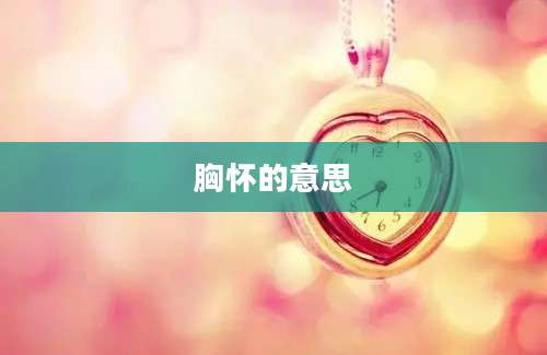 胸怀的意思