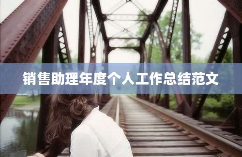 销售助理年度个人工作总结范文