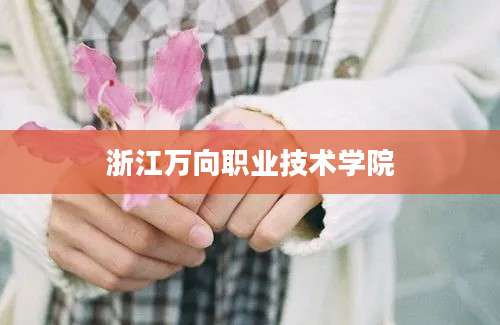 浙江万向职业技术学院