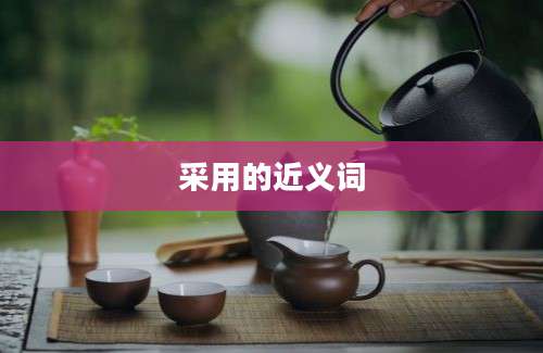 采用的近义词