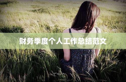 财务季度个人工作总结范文
