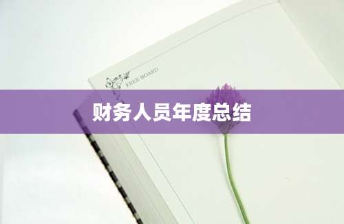 财务人员年度总结