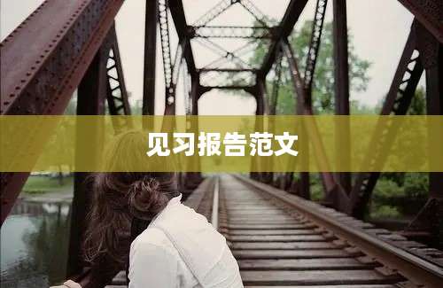 见习报告范文