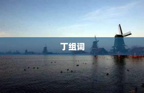 丁组词