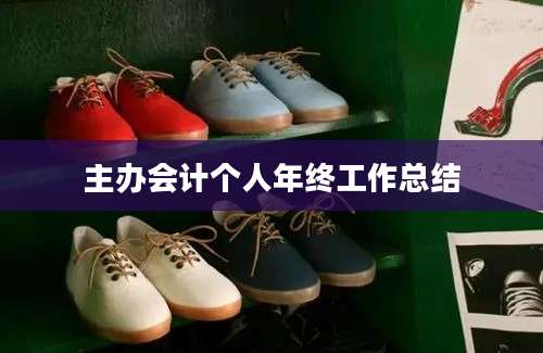 主办会计个人年终工作总结
