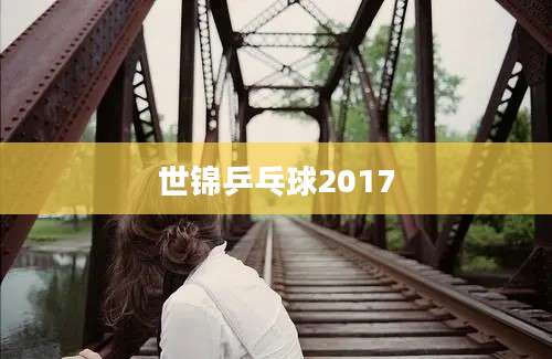 世锦乒乓球2017