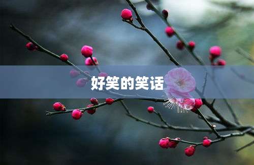好笑的笑话