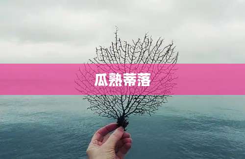 瓜熟蒂落