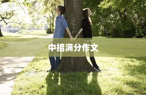 中招满分作文