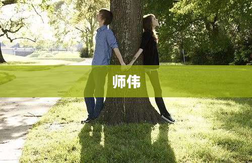 师伟