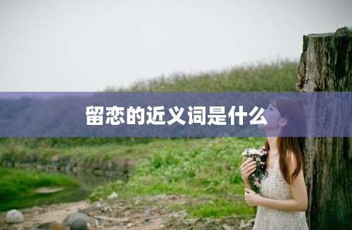 留恋的近义词是什么