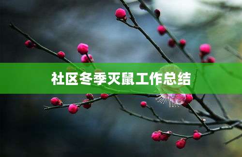 社区冬季灭鼠工作总结