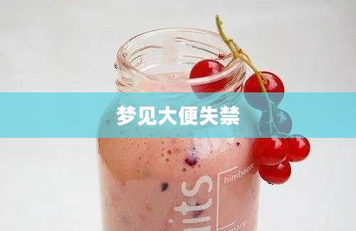 梦见大便失禁